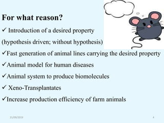 21/09/2019 4
For what reason?
 Introduction of a desired property
(hypothesis driven; without hypothesis)
Fast generation of animal lines carrying the desired property
Animal model for human diseases
Animal system to produce biomolecules
 Xeno-Transplantates
Increase production efficiency of farm animals
 