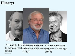 21/09/2019 5
History:
 Ralph L. Brinster
[American geneticist ]
(1982)
 Rudolf Jaenisch
[Professor of Biology]
(1974)
Richard Palmiter
[Professor of biochemistry]
(1982)
 