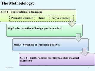 21/09/2019 8
The Methodology:
Step 1 – Construction of a transgene
Step 2 – Introduction of foreign gene into animal
Step 3 - Screening of transgenic positives
Step 4 – Further animal breeding to obtain maximal
expression
Promoter sequence Gene Poly A sequence
 
