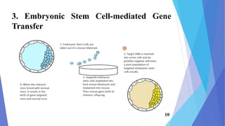 3. Embryonic Stem Cell-mediated Gene
Transfer
10
 
