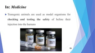  Transgenic animals are used as model organisms for
checking and testing the safety of before their
injection into the humans
In: Medicine
16
 