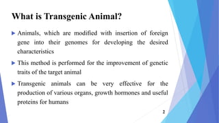 What is Transgenic Animal?
 Animals, which are modified with insertion of foreign
gene into their genomes for developing the desired
characteristics
 This method is performed for the improvement of genetic
traits of the target animal
 Transgenic animals can be very effective for the
production of various organs, growth hormones and useful
proteins for humans
2
 
