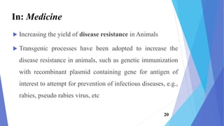  Increasing the yield of disease resistance in Animals
 Transgenic processes have been adopted to increase the
disease resistance in animals, such as genetic immunization
with recombinant plasmid containing gene for antigen of
interest to attempt for prevention of infectious diseases, e.g.,
rabies, pseudo rabies virus, etc
In: Medicine
20
 