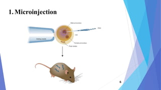 1.Microinjection
6
 