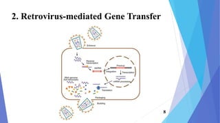 2. Retrovirus-mediated Gene Transfer
8
 