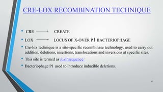 CRE-LOX RECOMBINATION TECHNIQUE
• CRE CREATE
• LOX LOCUS OF X-OVER P1 BACTERIOPHAGE
• Cre-lox technique is a site-specific recombinase technology, used to carry out
addition, deletions, insertions, translocations and inversions at specific sites.
• This site is termed as loxP sequence’
• Bacteriophage P1 used to introduce inducible deletions.
18
 