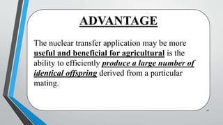 ADVANTAGE
The nuclear transfer application may be more
useful and beneficial for agricultural is the
ability to efficiently produce a large number of
identical offspring derived from a particular
mating.
28
 