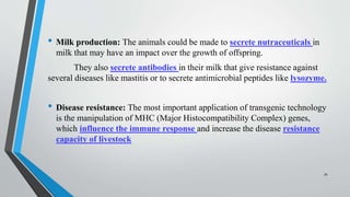 • Milk production: The animals could be made to secrete nutraceuticals in
milk that may have an impact over the growth of offspring.
They also secrete antibodies in their milk that give resistance against
several diseases like mastitis or to secrete antimicrobial peptides like lysozyme.
• Disease resistance: The most important application of transgenic technology
is the manipulation of MHC (Major Histocompatibility Complex) genes,
which influence the immune response and increase the disease resistance
capacity of livestock
34
 
