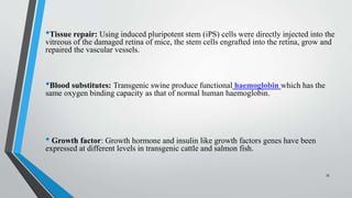 •Tissue repair: Using induced pluripotent stem (iPS) cells were directly injected into the
vitreous of the damaged retina of mice, the stem cells engrafted into the retina, grow and
repaired the vascular vessels.
•Blood substitutes: Transgenic swine produce functional haemoglobin which has the
same oxygen binding capacity as that of normal human haemoglobin.
• Growth factor: Growth hormone and insulin like growth factors genes have been
expressed at different levels in transgenic cattle and salmon fish.
35
 