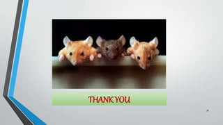 THANK YOU
36
 