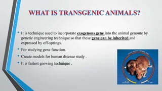 • It is technique used to incorporate exogenous gene into the animal genome by
genetic engineering technique so that these gene can be inherited and
expressed by off-springs.
• For studying gene function.
• Create models for human disease study .
• It is fastest growing technique .
4
 