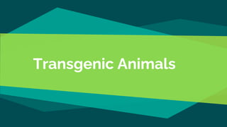 Transgenic Animals
 