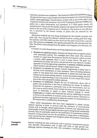 G3 Transgenicss
bacterium Agrobacterium tumefaciens. This bacterium infects dicotyledenous plants
(all agricultural crops except cereals) and induces formation of a cancerous growth
called a crown gall tumor. Transformation of plant cells is due to the effect of the
i plasmid carried by the bacterium. Part of the Ti plasmid called the T DNA inte
grates into
a plant chromosome and expression of T DNA genes causes cell
transformation. Vectors for the transfer ofgenes into plants have been developed
based on the use of the Ti plasmid and A. tumefaciens. The system is very effective
but is restricted by the limited number of plants that are infected by the
bacterium
Alternative methods are now being developed for the transfer of genes into
plant cells. One unusual but effective method involves coating gold and tung-
sten spheres with DNA which are then fired into the plant tissue from a
special
gun. This is known as biolistics. The spheres penetrate the cell wall and enter the
cells. The DNA is then released from the sphere and integrates into the host cel
genome.
A number of useful characteristics are
being engineered into plants:
Resistance to attack by insects. Attempts are
being made to engineer plants
with insecticidal activity. Two strategies have been used. One involves
transfer of a
gene from the bacterium Bacilus thuringiensis which encodes
a
protein called protoxin which is toxic to some insects. The gene was
transferred into maize and cotton, and proved to be very effective. Another
approach involved engineering expression of protease inhibitor proteins
which interfere with the insects' ability to digest plant tissue.
Resistance to infection by viruses. Genetic engineering is being used to
develop novel mechanisms of virus resistance. Genes encoding antisense
copies of viral genes have been transferred to plants but have had only
limited success at
preventing infection. A more successful strategy involves
transfer of a
gene encoding a viral coat
protein. It is not certain how expres-
sion of the viral coat protein inhibits infection.
Resistance to herbicides. Despite the use of herbicides, about 10% of
global crop production is lost due to infestation by weeds. In addition,
herbicides are
expensive, potentially toxic to the environment, and can
kill crops as well as weeds. Gene transfer has been used to
engineer resis-
tance to herbicides in plants to allow selective killing of weeds.
Glyphosate is a
widely used herbicide that acts by inhibiting an
enzyme
involved in the synthesis of aromatic amino acids in plants. Resistance to
glyphosate has been engineered in plants by transfer of a bacterial form of
the enzyme that is urnaffected by the herbicide.
Other useful characteristics that have been engineered in plants include:
delayed ripening of fruits to increase shelf life, tolerance of environmental
stresses such as
drought, altered pigmentation in flowers and
improved nutri-
tional quality of seeds. Because plants are easy to grow and generate considerable
biomass, they are
potentially useful for the production of recombinant proteins.
Research is being carried out into the possibility of using plants as bioreactors.
Some success has been obtained and transgenic plants that produce monoclonal
antibodies have been created.
Transgenic
animals
Selective breeding has been
extensively used to
produce domesticated animals
with desirable characteristics such as
high milk yield or
high growth rate.
Although selective breeding has been very successful, it becomes difficult to
 