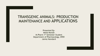 TRANSGENIC ANIMALS: PRODUCTION
MAINTENANCE AND APPLICATIONS
Presented By-
Mohd Monish
M.Pharm 1st Semester Student
Department of Pharmacology, SPER
Jamia Hamdard
 