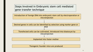 Introduction of foreign DNA into embryonic stem cell by electroporation or
microinjection
Desired genes in cells can be identified by selection using marker gene or
PCR
Transfected cells can be cultivated, Introduced into blastocyst by
microinjection
Implanted into foster mother
Transgenic founder mice are produced
11
Steps Involved in Embryonic stem cell mediated
gene transfer technique
 