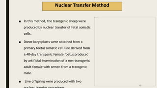 Nuclear Transfer Method
■ In this method, the transgenic sheep were
produced by nuclear transfer of fetal somatic
cells.
■ Donor karyoplasts were obtained from a
primary foetal somatic cell line derived from
a 40-day transgenic female foetus produced
by artificial insemination of a non-transgenic
adult female with semen from a transgenic
male.
■ Live offspring were produced with two
15
 