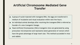 Artificial Chromosome Mediated Gene
Transfer
■ A group of nuclei injected with transgene DNA, the eggs are transferred in
medium of incubation and visual evaluation within next few hours.
■ An individual animal develops after receiving the transgene DNA is referred as
founder of a new transgenic lineage.
■ Yeast Artificial Chromosomes (YACs) transgenic mice are generated by using
pronuclear microinjection and represents latest generation of vectors which
have the great advantage of large insert size. This method succeeded in mice
and rabbits
16
 