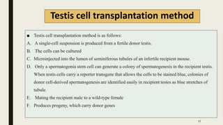 Testis cell transplantation method
■ Testis cell transplantation method is as follows:
A. A single-cell suspension is produced from a fertile donor testis.
B. The cells can be cultured
C. Microinjected into the lumen of seminiferous tubules of an infertile recipient mouse.
D. Only a spermatogonia stem cell can generate a colony of spermatogenesis in the recipient testis.
When testis cells carry a reporter transgene that allows the cells to be stained blue, colonies of
donor cell-derived spermatogenesis are identified easily in recipient testes as blue stretches of
tubule.
E. Mating the recipient male to a wild-type female
F. Produces progeny, which carry donor genes
17
 