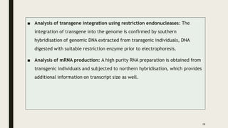 ■ Analysis of transgene integration using restriction endonucleases: The
integration of transgene into the genome is confirmed by southern
hybridisation of genomic DNA extracted from transgenic individuals, DNA
digested with suitable restriction enzyme prior to electrophoresis.
■ Analysis of mRNA production: A high purity RNA preparation is obtained from
transgenic individuals and subjected to northern hybridisation, which provides
additional information on transcript size as well.
19
 