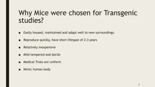 Why Mice were chosen for Transgenic
studies?
■ Easily housed, maintained and adapt well to new surroundings.
■ Reproduce quickly, have short lifespan of 2-3 years
■ Relatively inexpensive
■ Mild tempered and docile
■ Medical Trials are uniform
■ Mimic human body
6
 