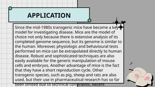 APPLICATION
Since the mid-1980s transgenic mice have become a key
model for investigating disease. Mice are the model of
choice not only because there is extensive analysis of its
completed genome sequence, but its genome is similar to
the human. Moreover, physiologic and behavioural tests
performed on mice can be extrapolated directly to human
disease. Robust and sophisticated techniques are also
easily available for the generic manipulation of mouse
cells and embryos. Another advantage of mice is the fact
that they have a short reproduction cycle. Other
transgenic species, such as pig, sheep and rats are also
used, but their use in pharmaceutical research has so far
been limited due to technical constraints. Recent
 
