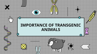 IMPORTANCE OF TRANSGENIC
ANIMALS
 