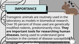 GENETIC
MODIFICATION
IMPORTANCE
Transgenic animals are routinely used in the
laboratory as models in biomedical research.
Over 95 percent of those used are genetically
modified rodents, predominantly mice. They
are important tools for researching human
diseases, being used to understand gene
function in the context of disease susceptibility,
progression and to determine responses to a
 