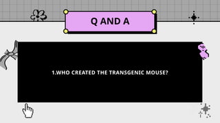 Q AND A
1.WHO CREATED THE TRANSGENIC MOUSE?
 