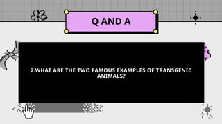 Q AND A
2.WHAT ARE THE TWO FAMOUS EXAMPLES OF TRANSGENIC
ANIMALS?
 