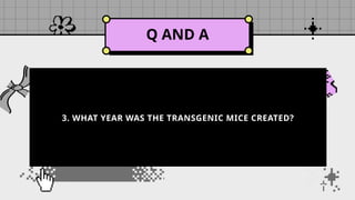 Q AND A
3. WHAT YEAR WAS THE TRANSGENIC MICE CREATED?
 