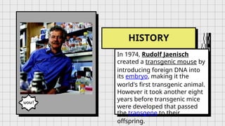 HISTORY
In 1974, Rudolf Jaenisch
created a transgenic mouse by
introducing foreign DNA into
its embryo, making it the
world's first transgenic animal.
However it took another eight
years before transgenic mice
were developed that passed
the transgene to their
offspring.
 