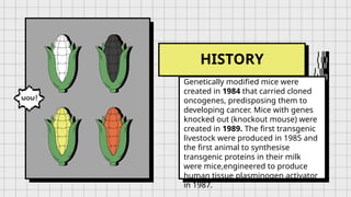 HISTORY
Genetically modified mice were
created in 1984 that carried cloned
oncogenes, predisposing them to
developing cancer. Mice with genes
knocked out (knockout mouse) were
created in 1989. The first transgenic
livestock were produced in 1985 and
the first animal to synthesise
transgenic proteins in their milk
were mice,engineered to produce
human tissue plasminogen activator
in 1987.
 