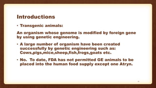 Introductions
• Transgenic animals:
An organism whose genome is modified by foreign gene
by using genetic engineering.
• A large number of organism have been created
successfully by genetic engineering such as:
Cows,pigs,mice,sheep,fish,frogs,goats etc.
• No. To date, FDA has not permitted GE animals to be
placed into the human food supply except one Atryn.
12
 