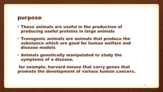 purpose
• These animals are useful in the production of
producing useful proteins in large animals
• Transgenic animals are animals that produce the
substance which are good for human welfare and
disease models
• Animals genetically manipulated to study the
symptoms of a disease.
for example. harvard mouse that carry genes that
promote the development of various human cancers.
15
 