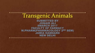 Transgenic Animals
SUBMITTED BY
JONAID ALI
8MARCH 2017
FACULTY OF FARMACY
M.PHARM(PHARMACOLOGY 2ND SEM)
JAMIA HAMDARD
NEW DELHI
 