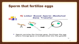 Sperm that fertilize eggs
24
 