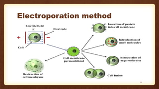 Electroporation method
25
 