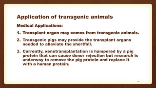 Application of transgenic animals
Medical Applications:
1. Transplant organ may comes from transgenic animals.
2. Transgenic pigs may provide the transplant organs
needed to alleviate the shortfall.
3. Currently, xenotransplantation is hampered by a pig
protein that can cause donor rejection but research is
underway to remove the pig protein and replace it
with a human protein.
29
 