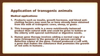 Application of transgenic animals
Medical applications:
1. Products such as insulin, growth hormone, and blood anti-
clotting factors may soon be or have already been obtained
from the milk of transgenic cows, sheep, or goats .
2. This transgenic milk is a more nutritionally balanced
product than natural milk and could be given to babies or
the elderly with special nutritional or digestive needs.
3. Human gene therapy involves adding a normal copy of a
gene (transgene) to the genome of a person carrying
defective copies of the gene. Finland produced a calf with
a gene that makes the substance that promotes the growth
of red cells in humans .
30
 
