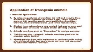 Application of transgenic animals
• Industrial Applications:
1. By extracting polymer strands from the milk and weaving them
into thread, the scientists can create a light, tough, flexible
material that could be used in such applications as military
uniforms, medical microsutures , and tennis racket strings .
2. Biosteel is an extraordinary new product that may be soon used
in bullet proof vests and in suture silk for stitching wounds.
3. Animals have been used as “Bioreactors” to produce proteins .
4. Toxicity-sensitive transgenic animals have been produced for
chemical safety testing.
5. Microorganisms have been engineered to produce a wide variety
of proteins, which in turn can produce enzymes that can speed
up industrial chemical reactions .
31
 