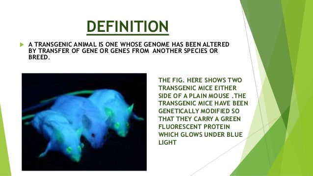 Transgenic Animals 1 Panjab University