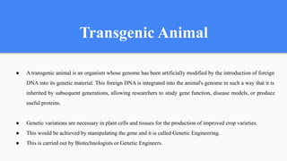 Transgenic Animals Explained | Production, Care, and Uses in Research ...