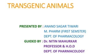 TRANSGENIC ANIMALS
PRESENTED BY : ANAND SAGAR TIWARI
M. PHARM (FIRST SEMSTER)
DEPT. OF PHARMACOLOGY
GUIDED BY : Dr. NITIN MAHURKAR
PROFESSOR & H.O.D
DEPT. OF PHARMACOLOGY
 
