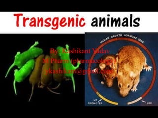 TRANSGENIC ANIMALS
By: Kashikant Yadav
M Pharm (pharmacology)
ykashikant@gmail.com
 