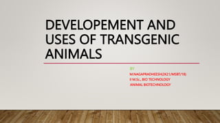 DEVELOPEMENT AND
USES OF TRANSGENIC
ANIMALS
BY
M.NAGAPRADHEESH(2K21/MSBT/18)
II M.Sc., BIO TECHNOLOGY
ANIMAL BIOTECHNOLOGY
 