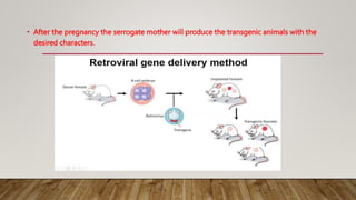 • After the pregnancy the serrogate mother will produce the transgenic animals with the
desired characters.
 