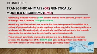 DEFINITIONS :
TRANSGENIC ANIMALS (OR) GENETICALLY
MODIFIED ORGANISMS (GMO)
• Genetically Modified Animals (GMO) and the an...