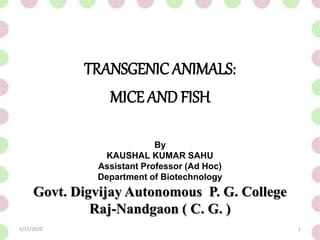 TRANSGENIC ANIMALS:
MICE AND FISH
5/15/2020 1
By
KAUSHAL KUMAR SAHU
Assistant Professor (Ad Hoc)
Department of Biotechnology
Govt. Digvijay Autonomous P. G. College
Raj-Nandgaon ( C. G. )
 
