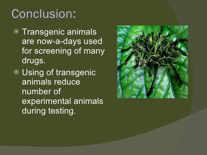 Transgenic animals ppt