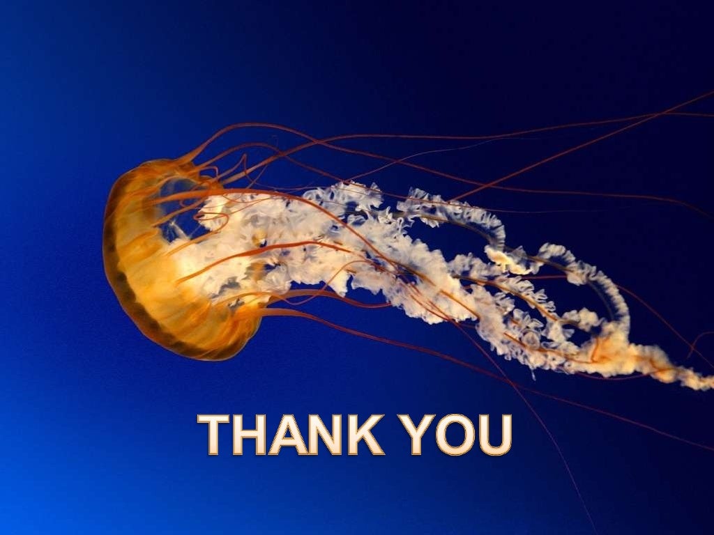 Transgenic animals ppt